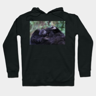 Baby Mountain Gorilla, Kwitonda Group, Rwanda, East Africa Hoodie